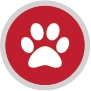 Pet Insurance icon